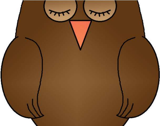 Barn Owl Clipart Transparent - Png Download (640x480), Png Download
