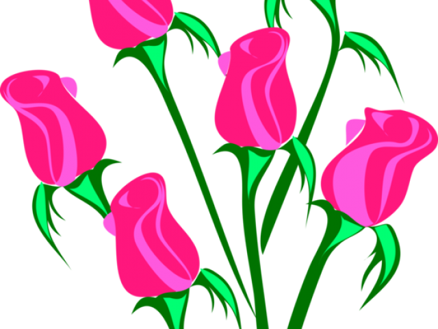 Blue Rose Clipart Pink - Roses Clip Art - Png Download (640x480), Png Download