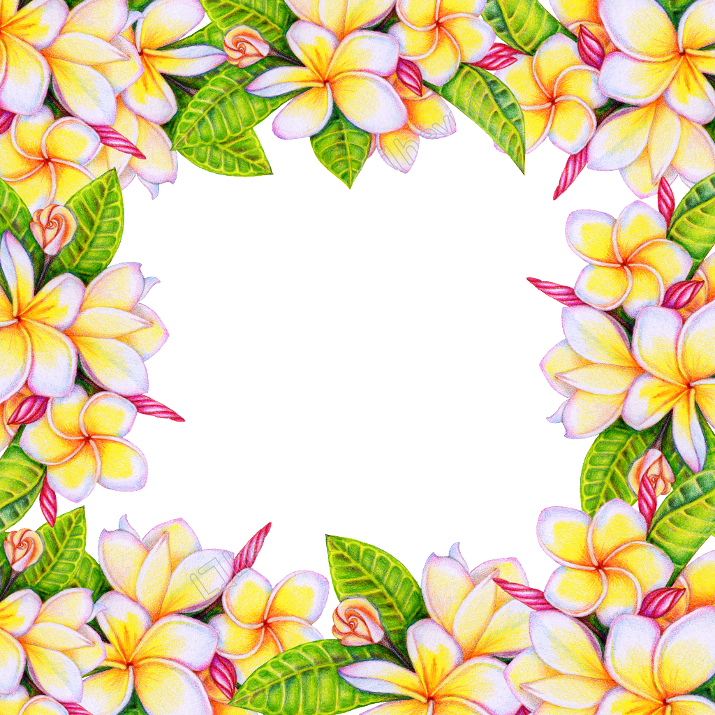 Flower Background Png - Marco De Hojas De Colores Clipart (1024x1024), Png Download