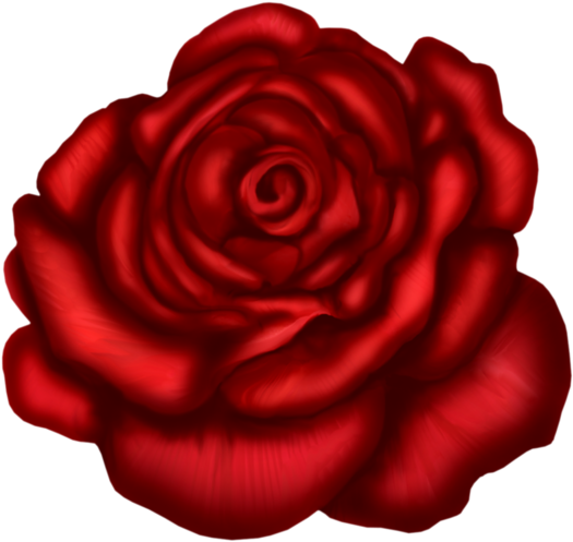 Red Rose Art Clipart (600x538), Png Download