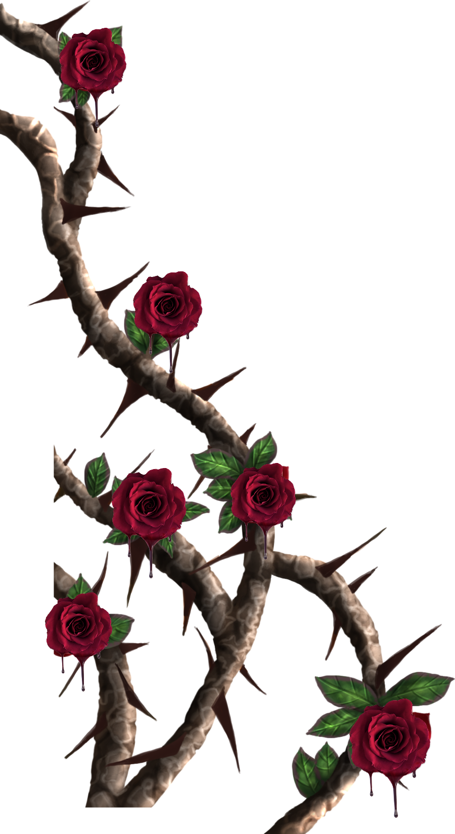 Download Vines Roses Vine Red Rose Thorns Png Clipart (4053334