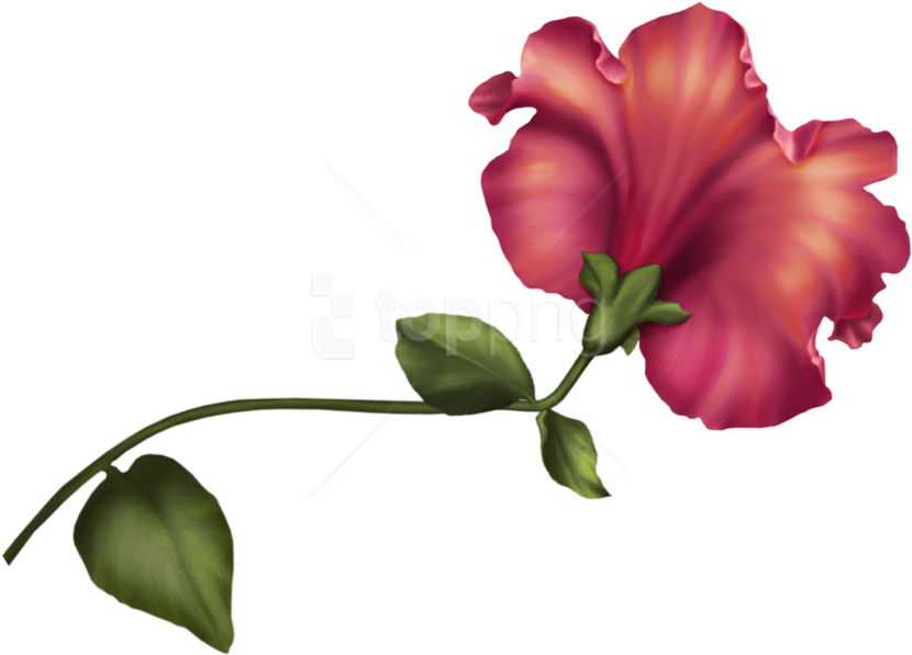 Free Png Download Vintage Flower Clipart Png Photo - Vintage Flower Clipart Png Transparent Png (850x615), Png Download