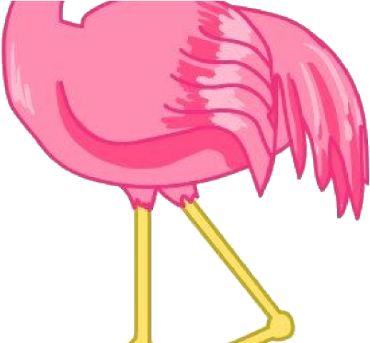 Feet Clipart Flamingo - Hawaiian Flamingo Clip Art - Png Download (640x480), Png Download