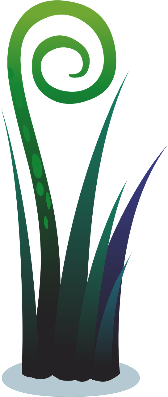 Plant Water Nature - Clip Art - Png Download (640x1280), Png Download