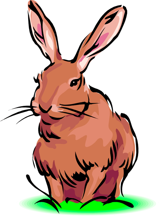 Definition Of Hare Clipart (552x750), Png Download