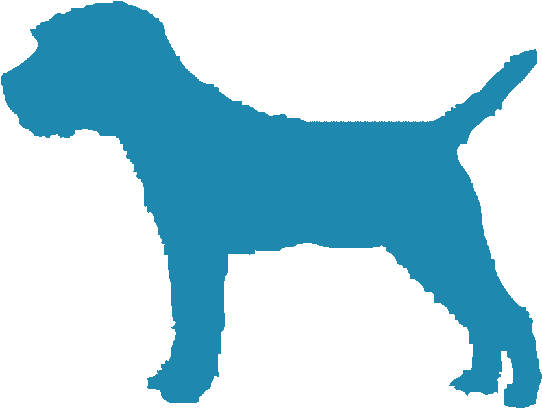 Faireview Border Terriers - Airedale Terrier Clipart (815x620), Png Download
