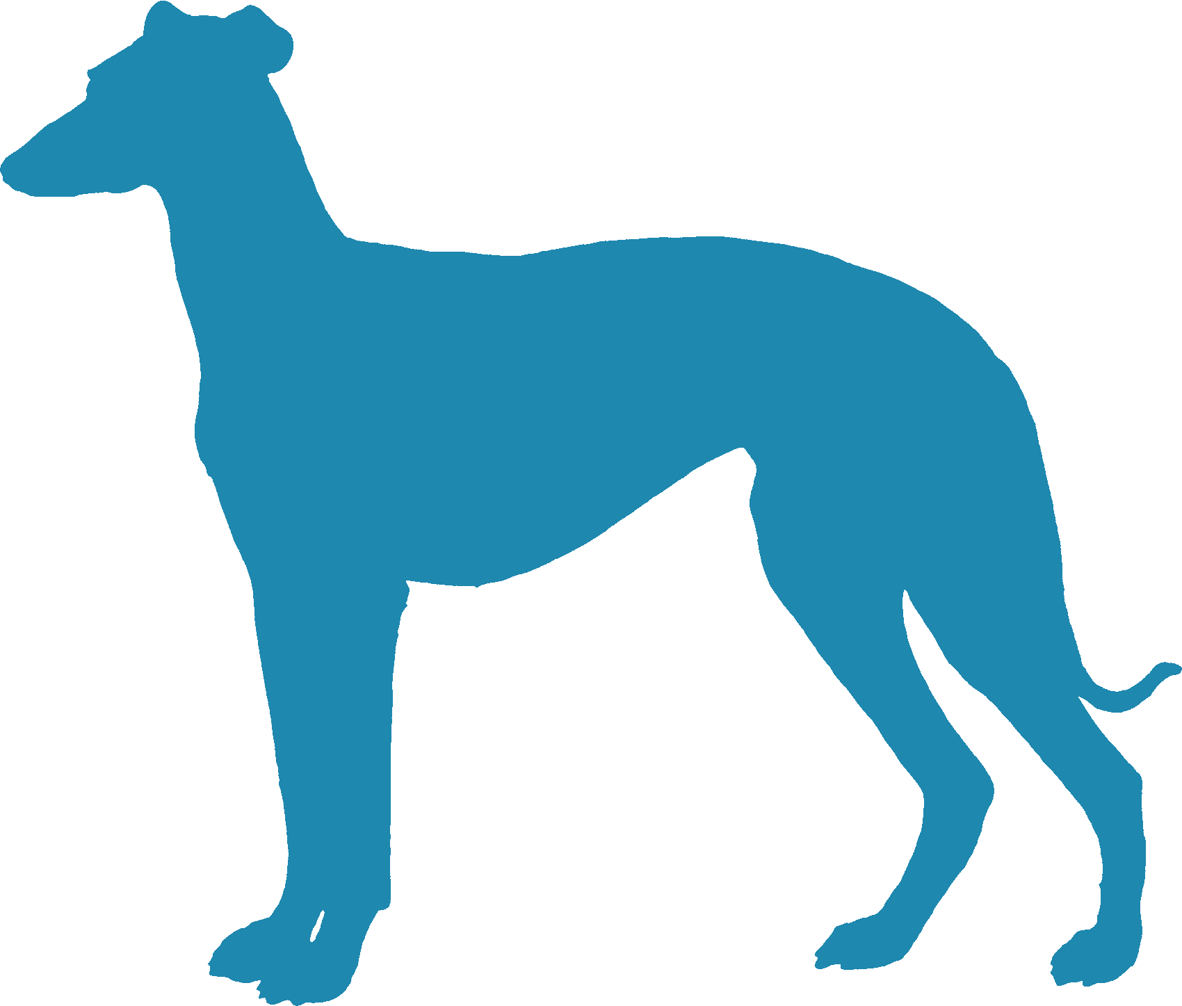 Cogshall - Transparent Italian Greyhound Silhouette Clipart (1700x1447), Png Download