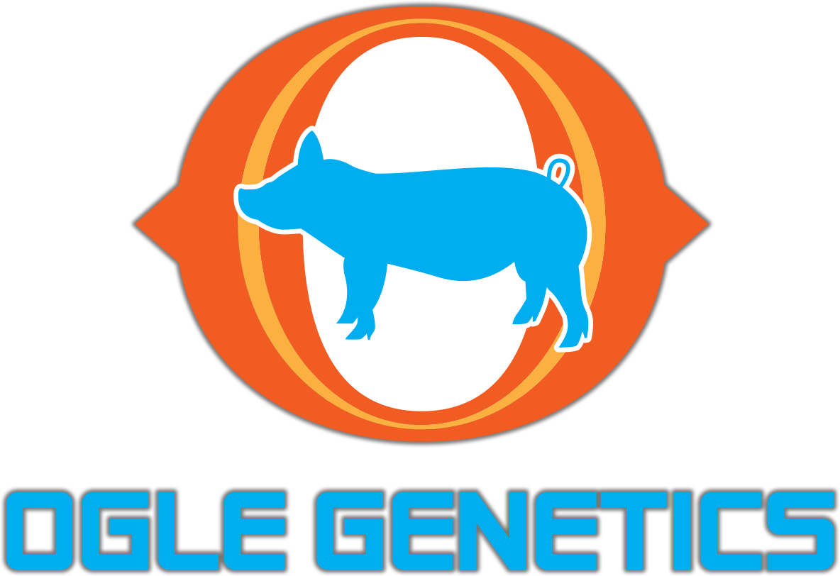 20th Ave Clipart (1184x812), Png Download