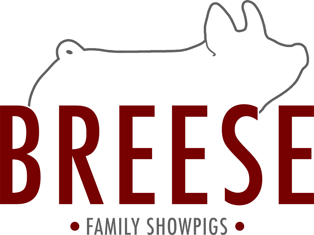Breese Family Showpigs - Cat Clipart (1200x898), Png Download