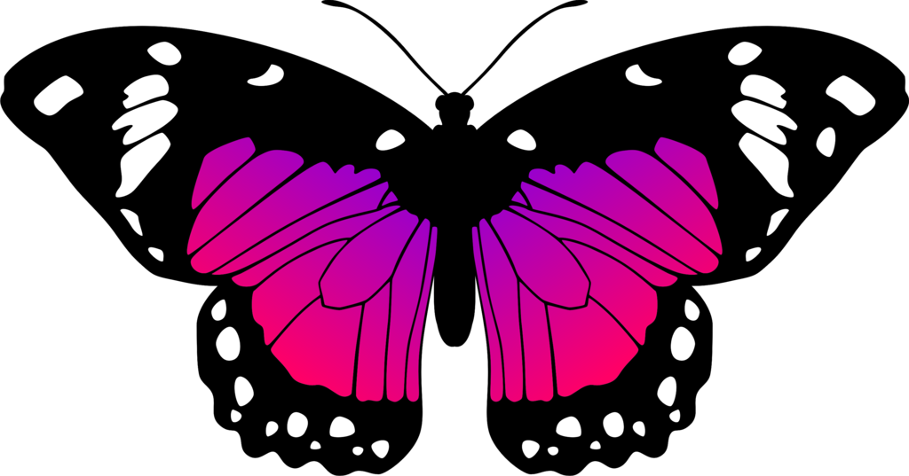 Butterflies Transparent Pink Purple - Pink And Purple Butterfly Clipart (1024x537), Png Download