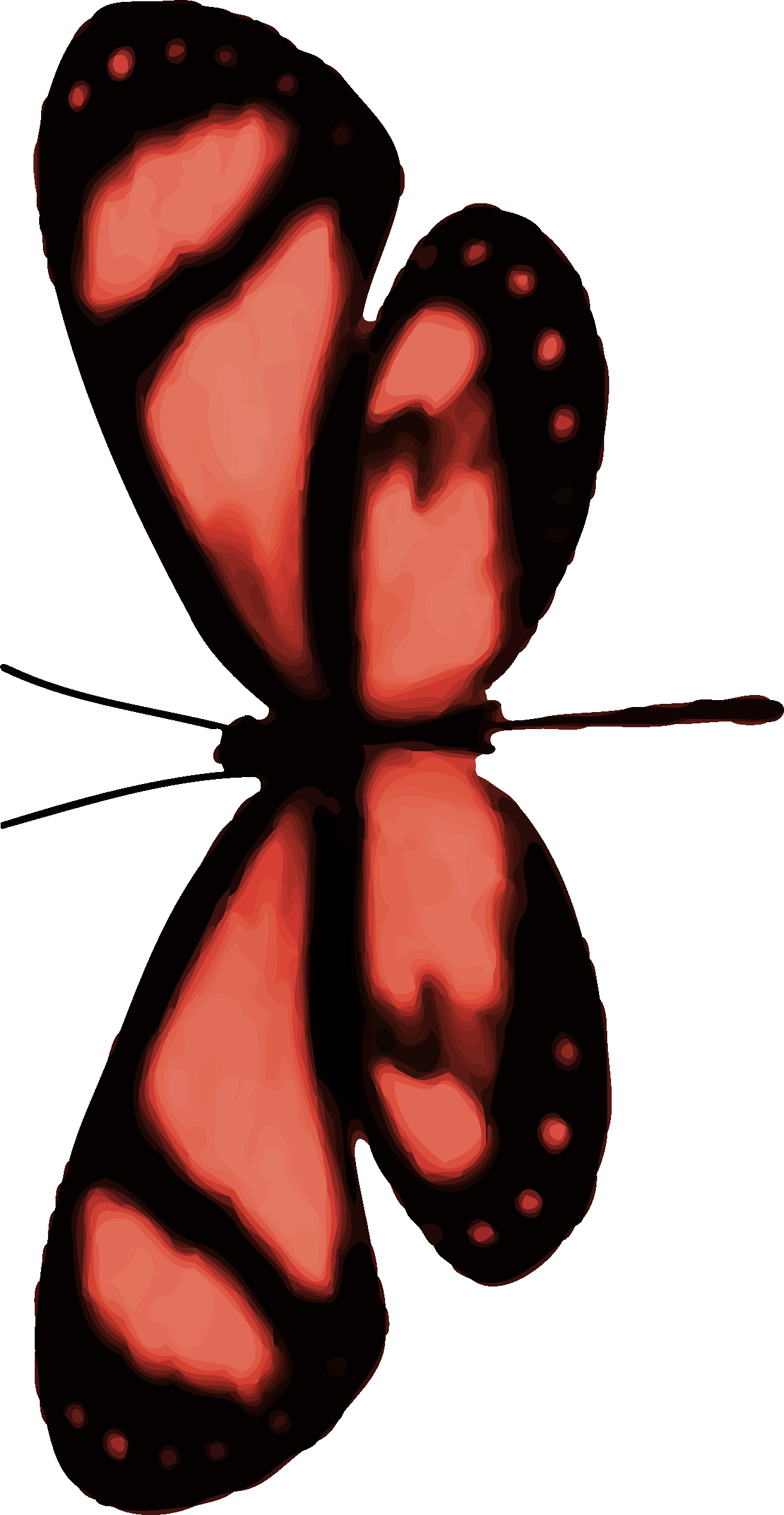 This Free Icons Png Design Of Butterfly 12 - Illustration Clipart (1242x2400), Png Download