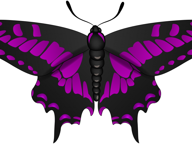 Egg Clipart Butterfly - Portable Network Graphics - Png Download (640x480), Png Download