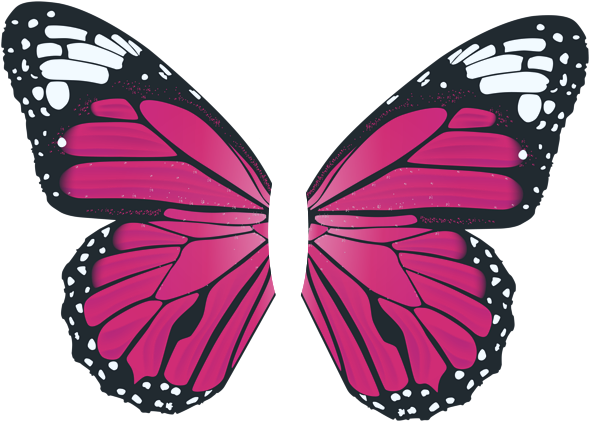 Clip Art Pink Butterfly - Png Download (600x428), Png Download