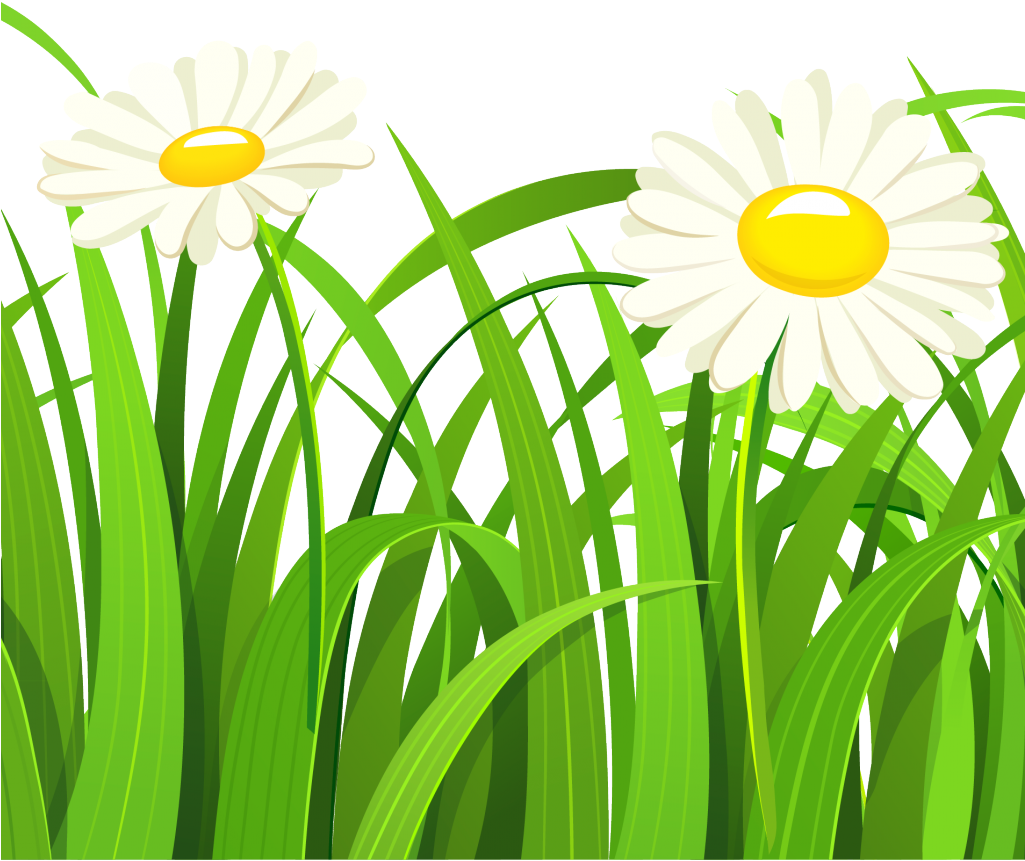Transparent Grass Vector Png Clipart (1024x1024), Png Download