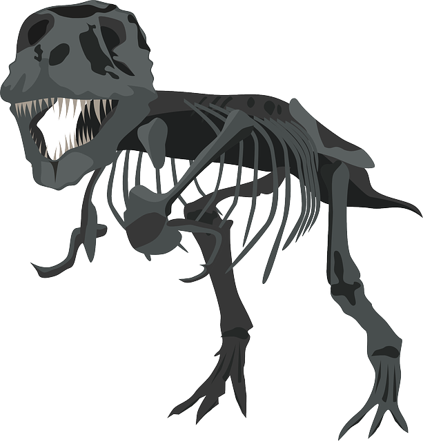 Tyrannosaurus Carnivore Pencil And In Color - T Rex Skeleton Png Clipart (613x640), Png Download