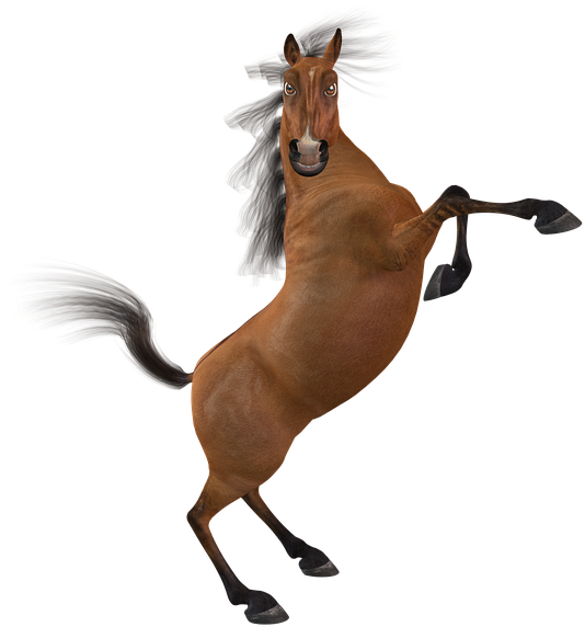 Funny Horse Png Clipart (540x720), Png Download