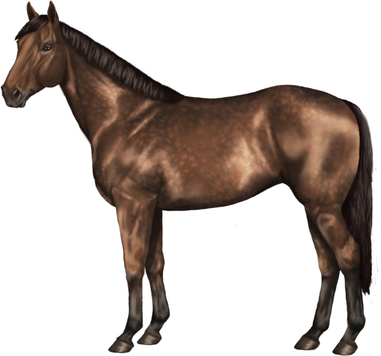 Bard's Tale Of White Night Acres Epic Win X Skade 2 - Does A Horse Look Like Clipart (800x800), Png Download