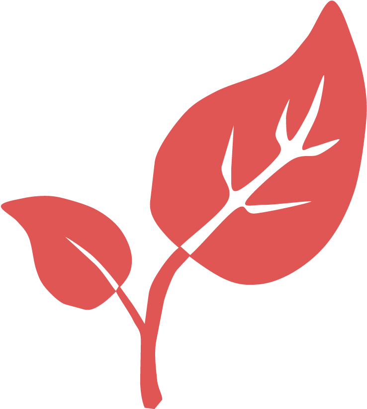 Natur - Environment Icon Png Clipart (1000x1000), Png Download