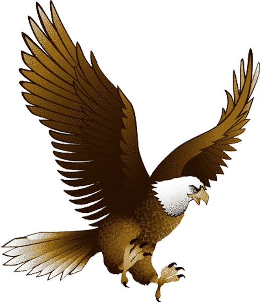 Eagle Clipart Png - Eagle Png Transparent Png (516x600), Png Download