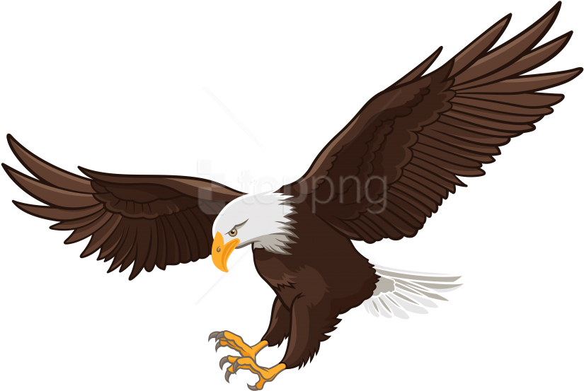 Free Png Download Eagle Clipart Png Photo Png Images - Eagle Clipart Png Transparent Png (850x570), Png Download