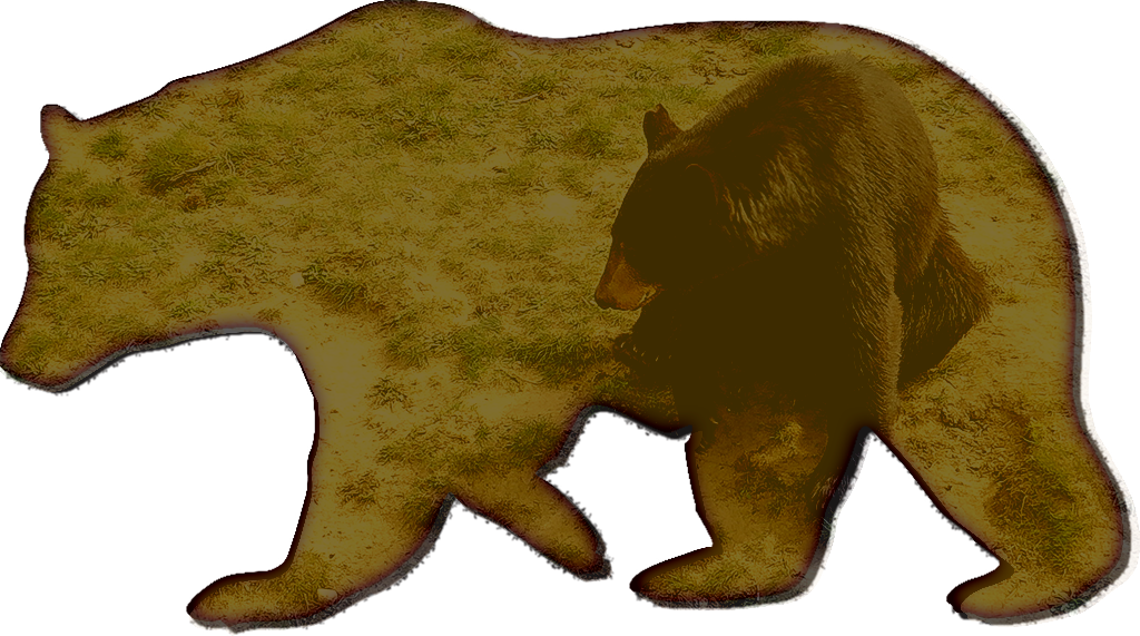 Black Bear Ranch - Bear Stencil Clipart (1024x571), Png Download
