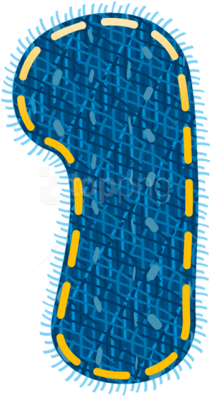 Free Png Blue Jeans Number Onepicture Png Images Transparent Clipart (480x850), Png Download