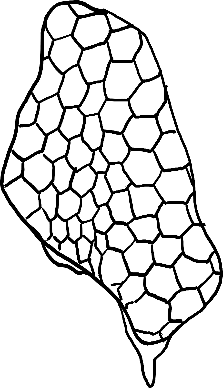 Save To Collection - Line Art Clipart (914x1591), Png Download