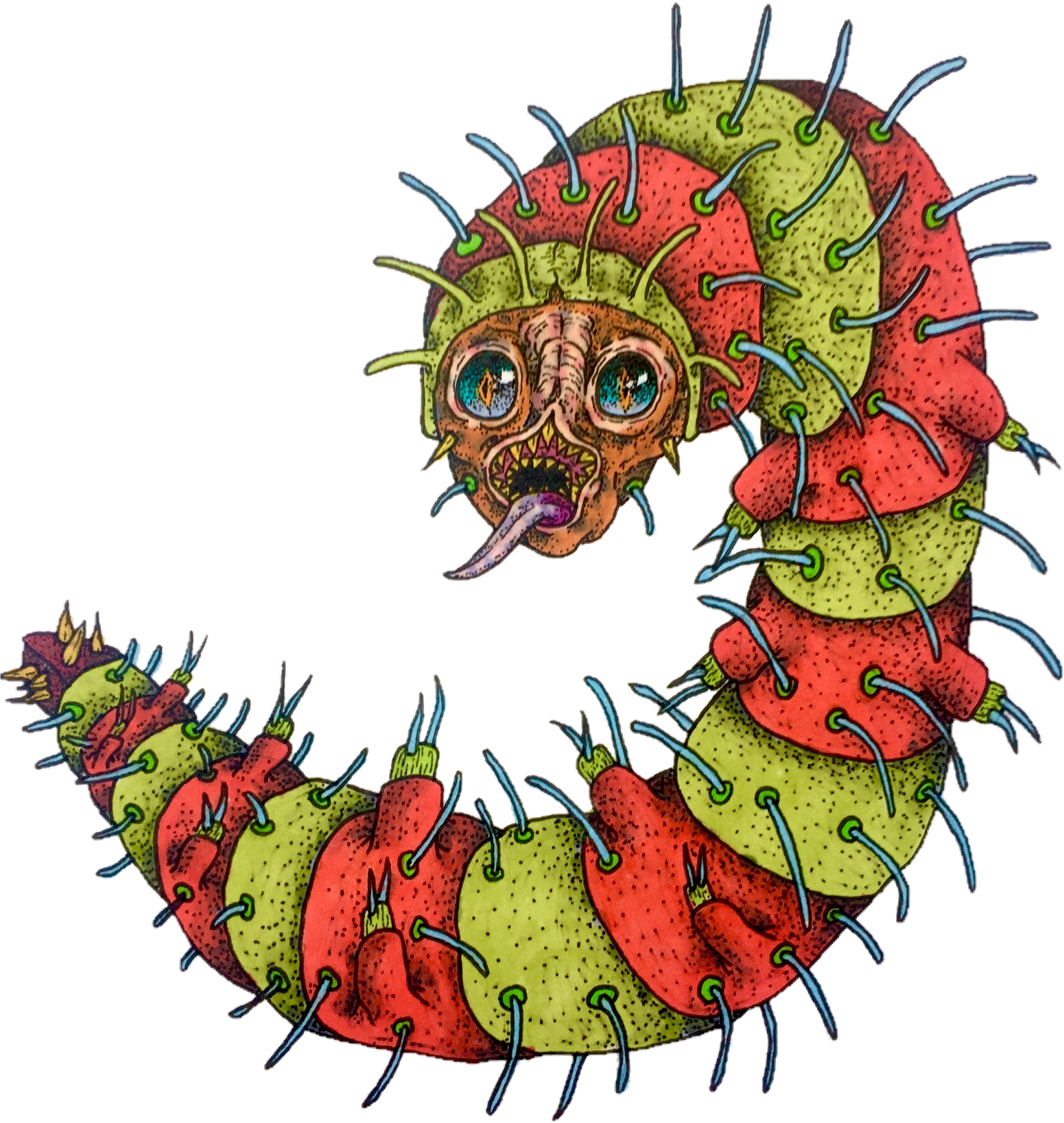Image Of Prong Worm Of Peru - Illustration Clipart (2343x2562), Png Download