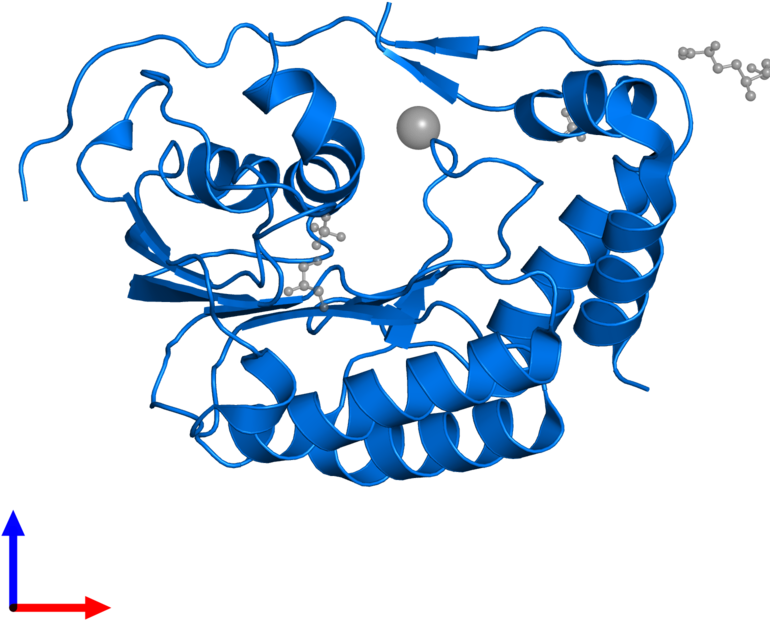 <div Class='caption-body'>pdb Entry 5m5b Contains 1 Clipart (800x800), Png Download