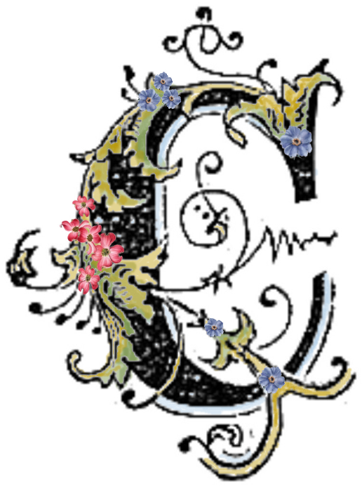 Letter C Png Le - Old English Decorative Letters Clipart (521x703), Png Download