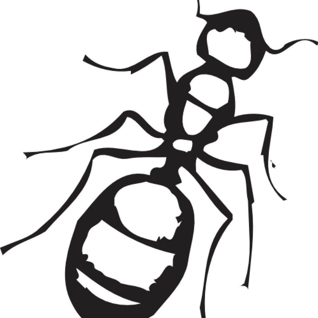 And Apple Hatenylo Com Sketch Of An - Ant Clipart Black And White - Png Download (1024x1024), Png Download