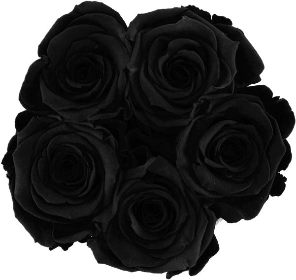 Prev - Garden Roses Clipart (700x654), Png Download