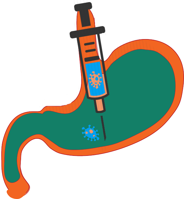 Gastric Botox Clipart (605x640), Png Download