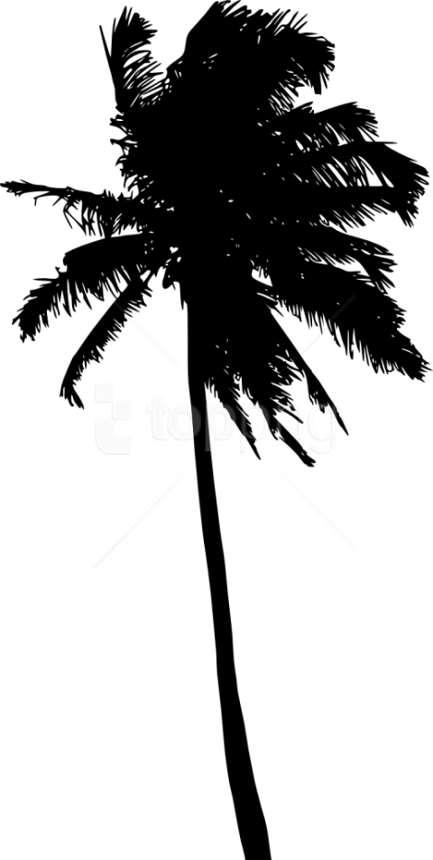 Free Png Palm Tree Silhouette Png - Palm Tree Silhouette Clipart (480x953), Png Download