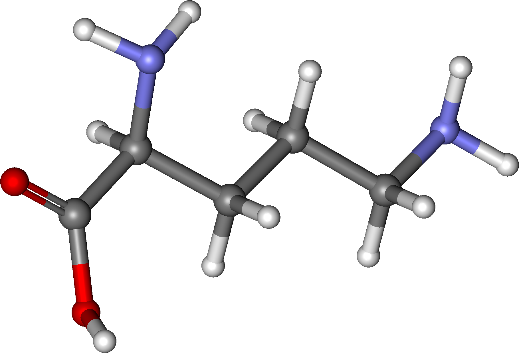 Ornithine For Stress - L Ornithine Clipart (750x495), Png Download