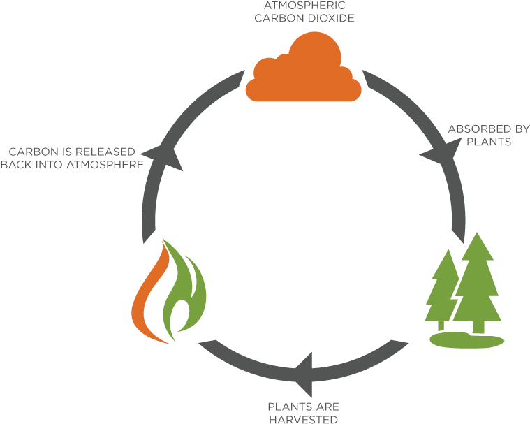 When The Plant Is Burned, The Same Amount Of Carbon Clipart (768x621), Png Download
