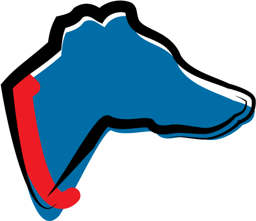 There Are 18 Official Greyhound Colours Clipart (500x667), Png Download