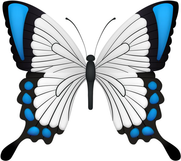 Blue Butterfly Deco Clipart Image - Barclay James Harvest Through The Eyes Of John Lees - Png Download (600x537), Png Download