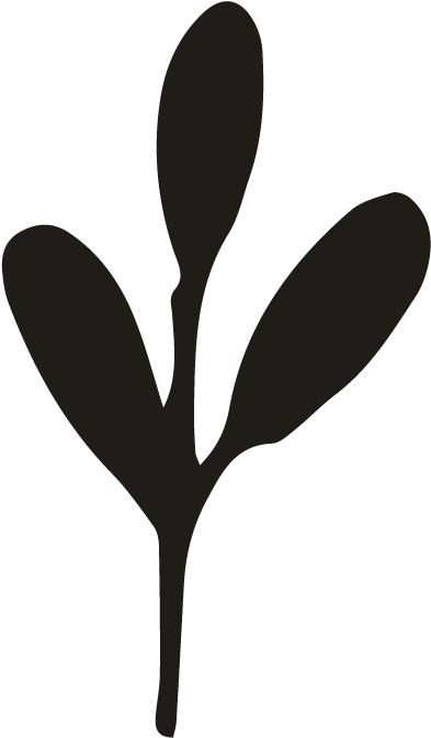 Greely - Illustration Clipart (696x696), Png Download