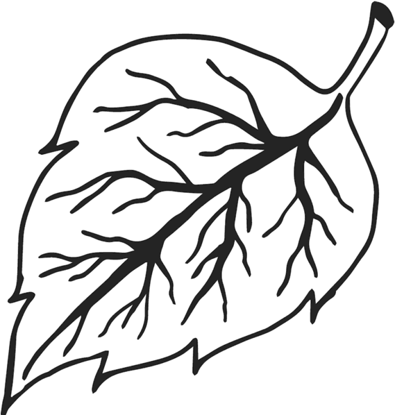 Veiny Leaf Rubber Stamp Clipart (600x600), Png Download