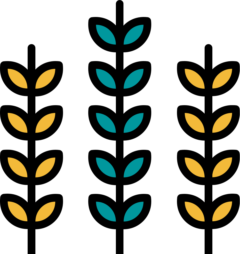 Kansas Clipart (990x1048), Png Download