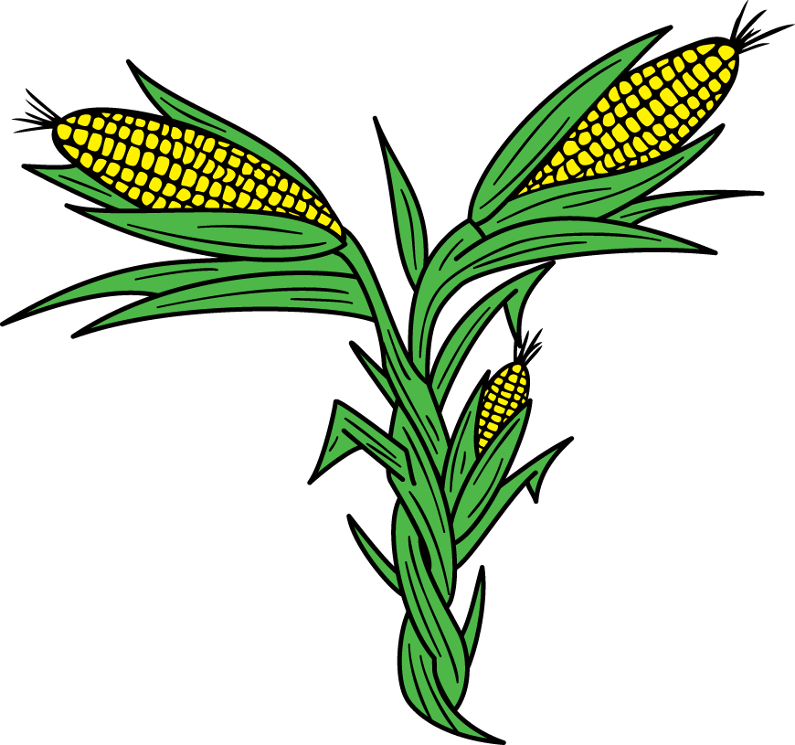 Corn Picutre Clipart (870x815), Png Download