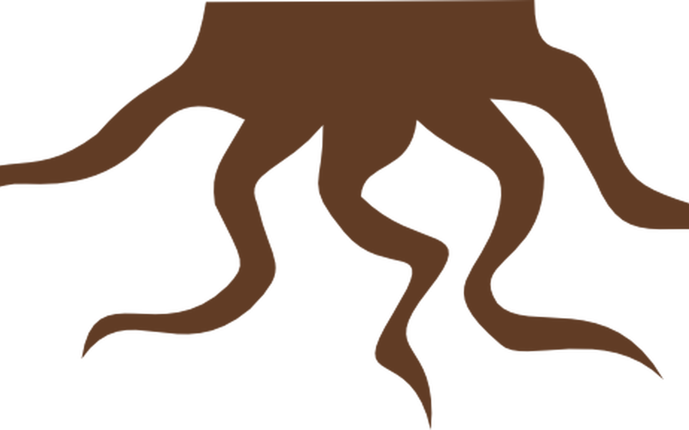 Roots Clip Art At Clkercom Vector Clip Art Online - Illustration - Png Download (1368x855), Png Download