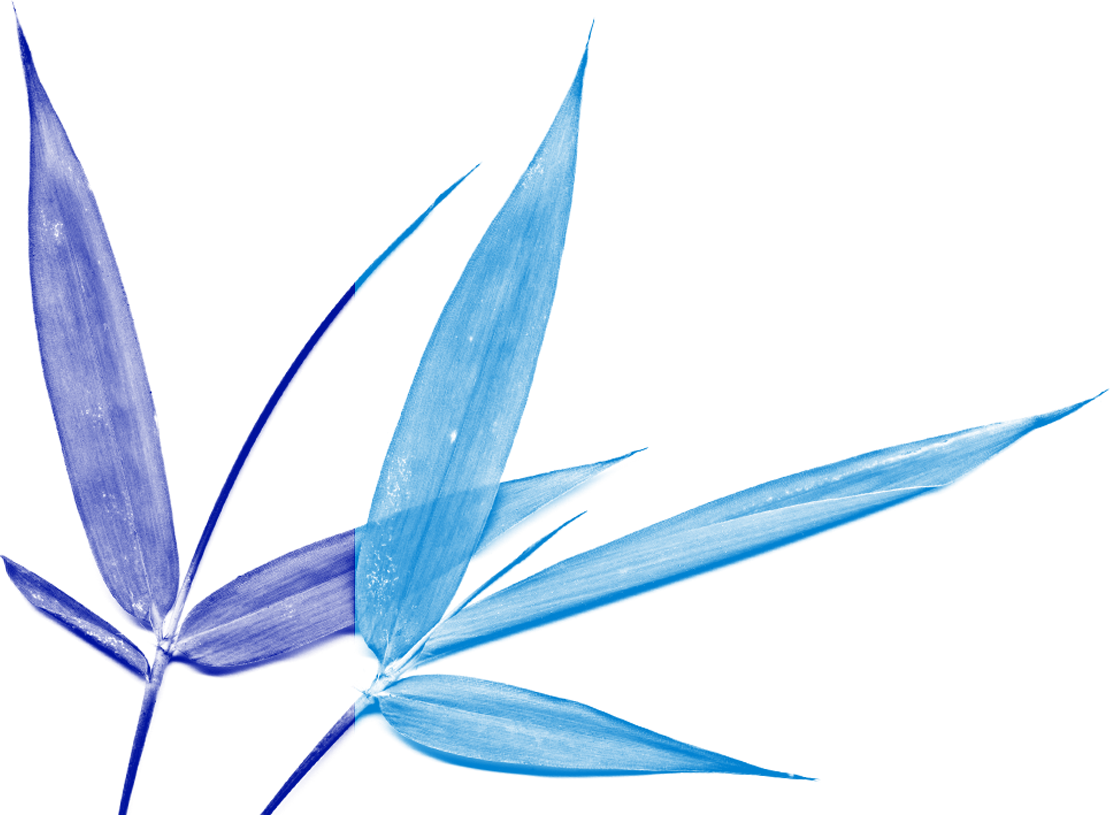 Propinquity Vibrational Essences Address The Full Spectrum Clipart (1110x815), Png Download