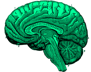 Gracias A La Transformación Digital De Los Establecimientos - Illustration Clipart (746x746), Png Download