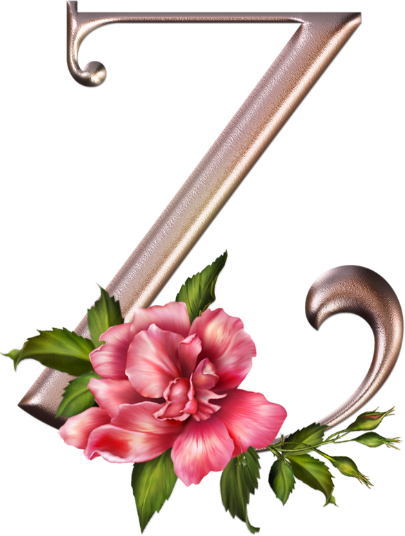 Фотки Painted Letters, Monogram Letters, Love Letters, - Imagenes De La Letras Png Con Flores Clipart (587x775), Png Download