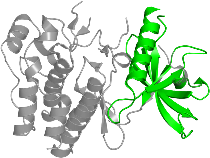 <div Class='caption-body'>1 Copy Of Cath Domain - Illustration Clipart (800x800), Png Download