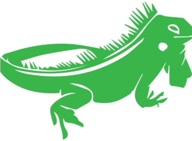 Chameleon Clipart Costa Rica - Iguana Clipart Transparent Background - Png Download (640x480), Png Download