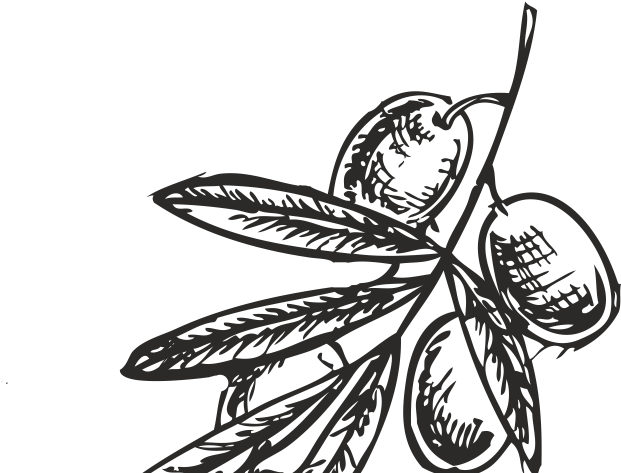 What's Inside The Olive Oil Clipart (641x481), Png Download