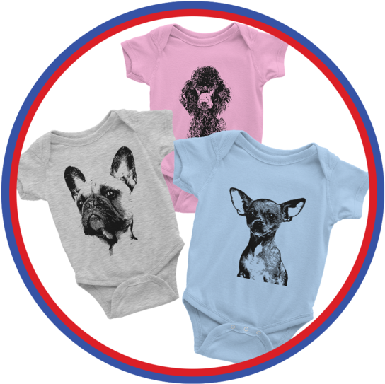 Babies Apparel - Boston Terrier Clipart (600x600), Png Download
